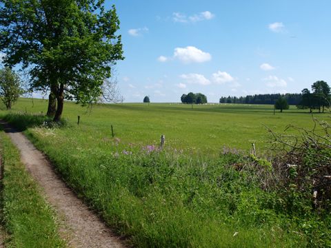 Foto 39